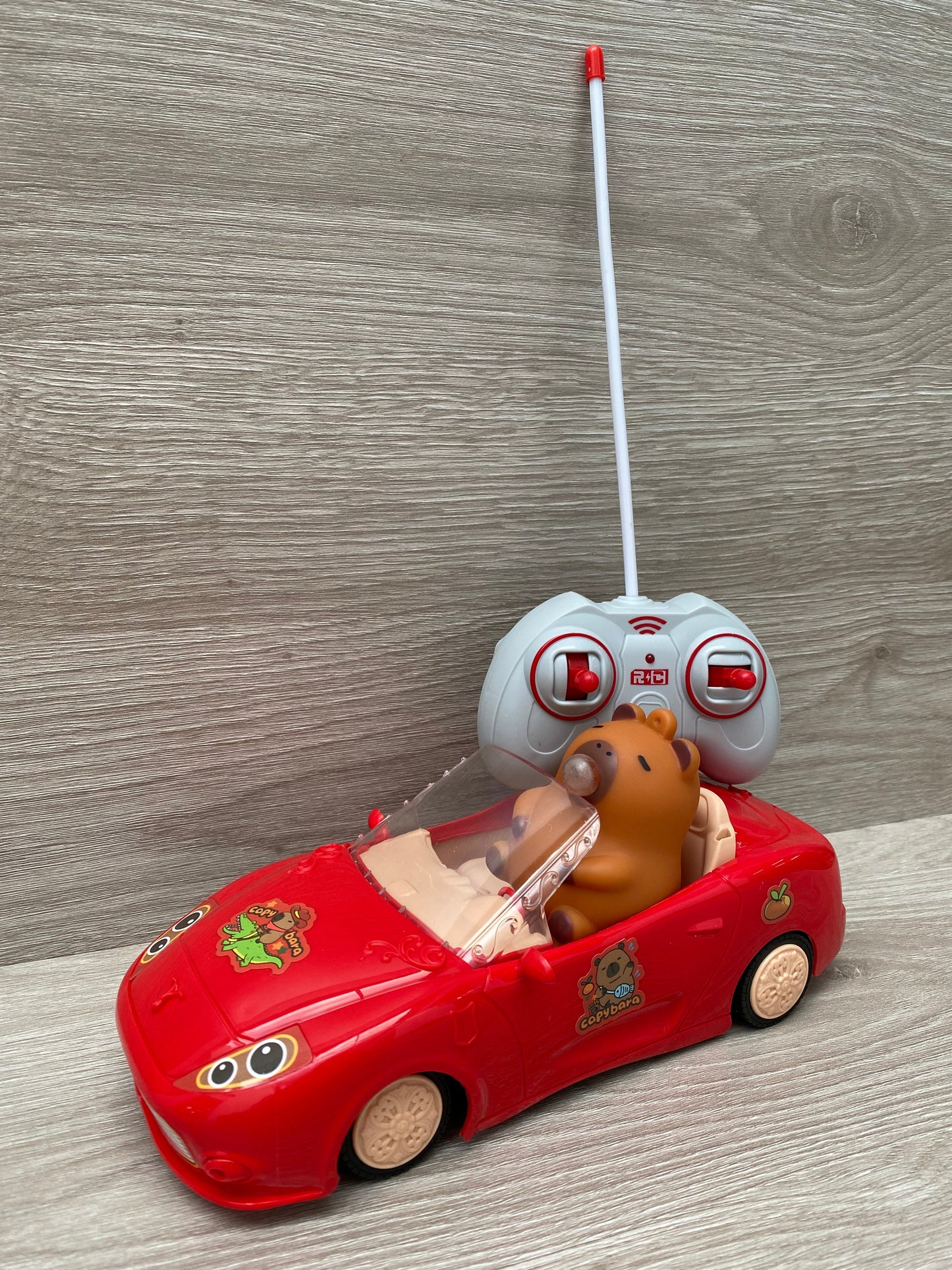CARRO CAPIBARA A CONTROL REMOTO🚗💨